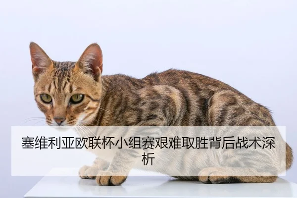 塞维利亚欧联杯小组赛艰难取胜背后战术深析